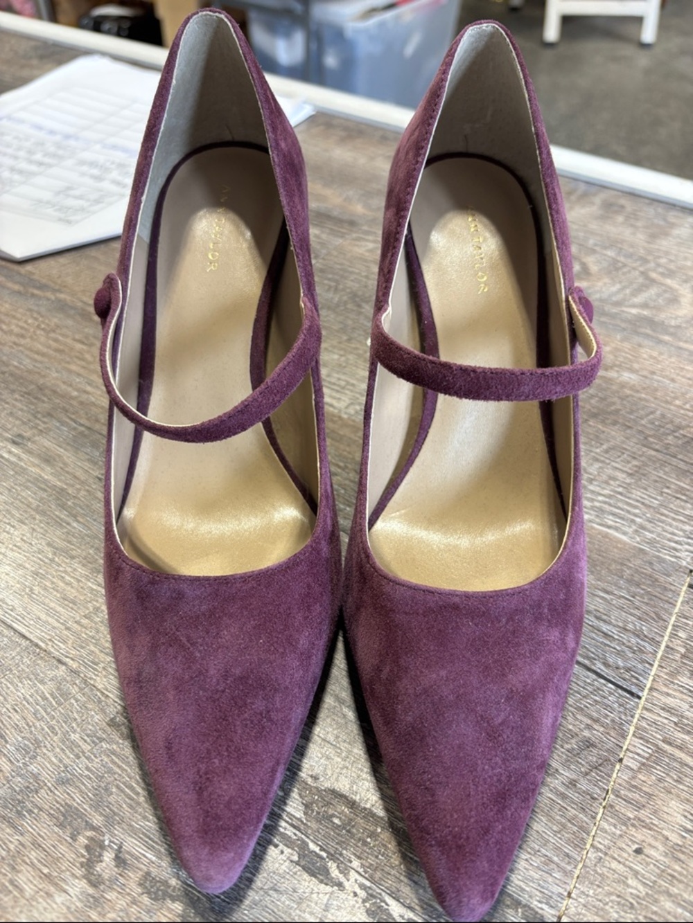 Ann Taylor Plum Suede Mary Jane Pointed Pumps